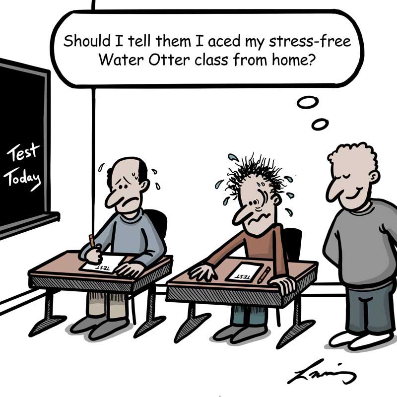 Water Otter Online Training